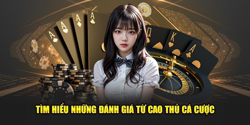 Tìm hiểu những đánh giá từ cao thủ cá cược 